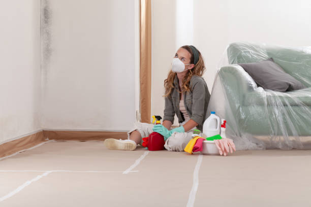 Reliable Mold Remediation contractor in Ashland, PA by WQB Mold Removal